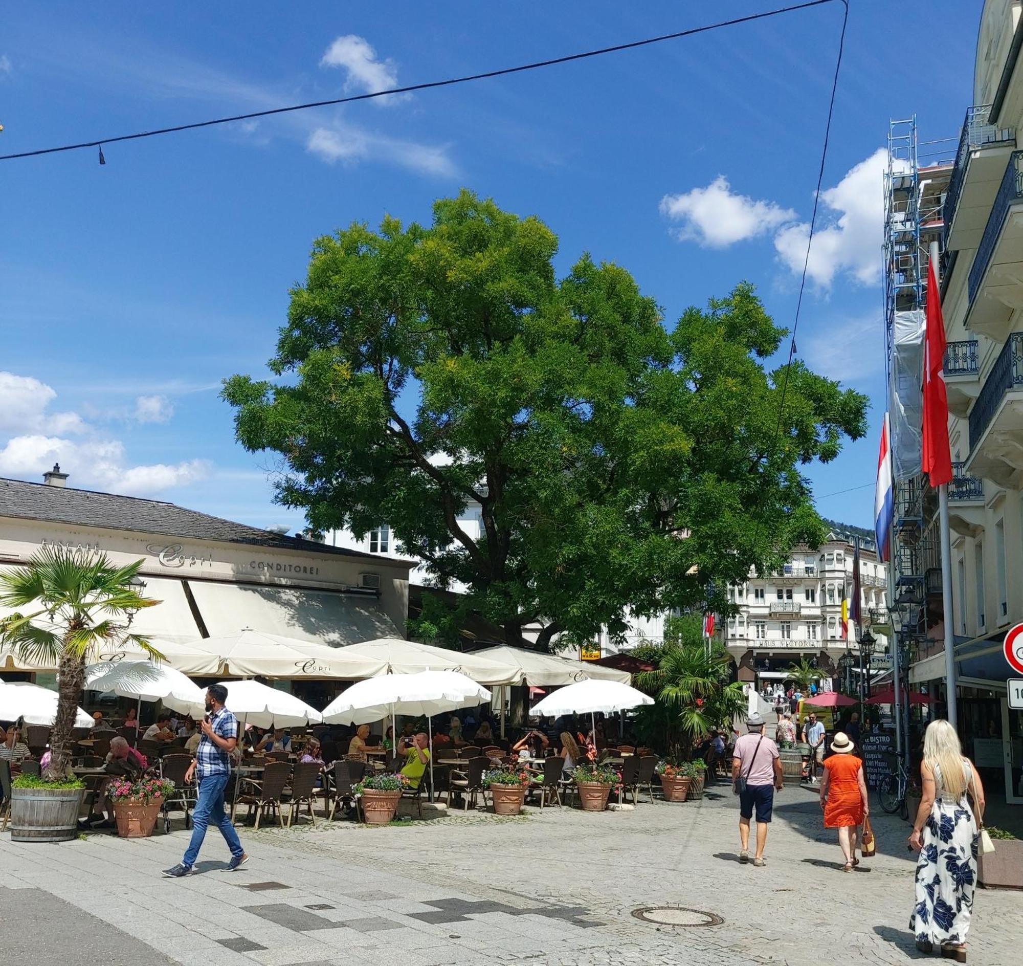 Gemuetliches J&L Apartment Nahe Des Hauptbahnhofes Baden-Bade Exterior foto